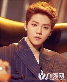 爆料鹿晗炒作事件视频下载,揭秘背后真相与争议  第1张